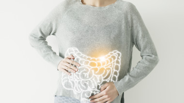 intestine visualisation on woman body