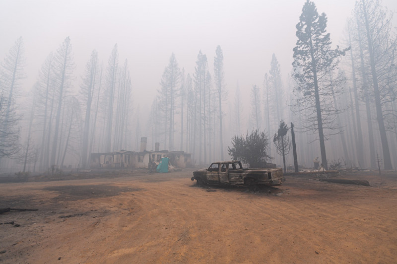 Dezastrul lăsat în urmă de incendiile de vegetație