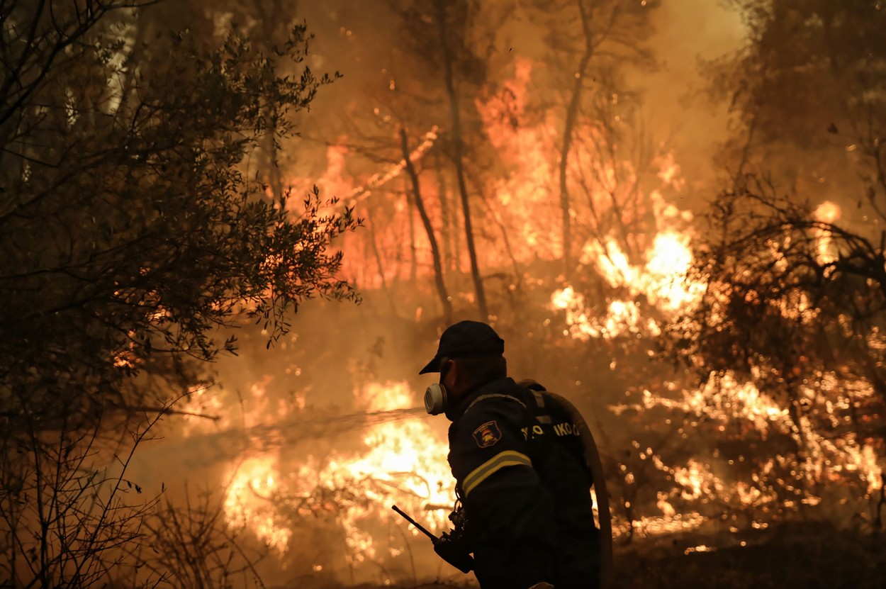 Forest fires in Greece - 08 Aug 2021