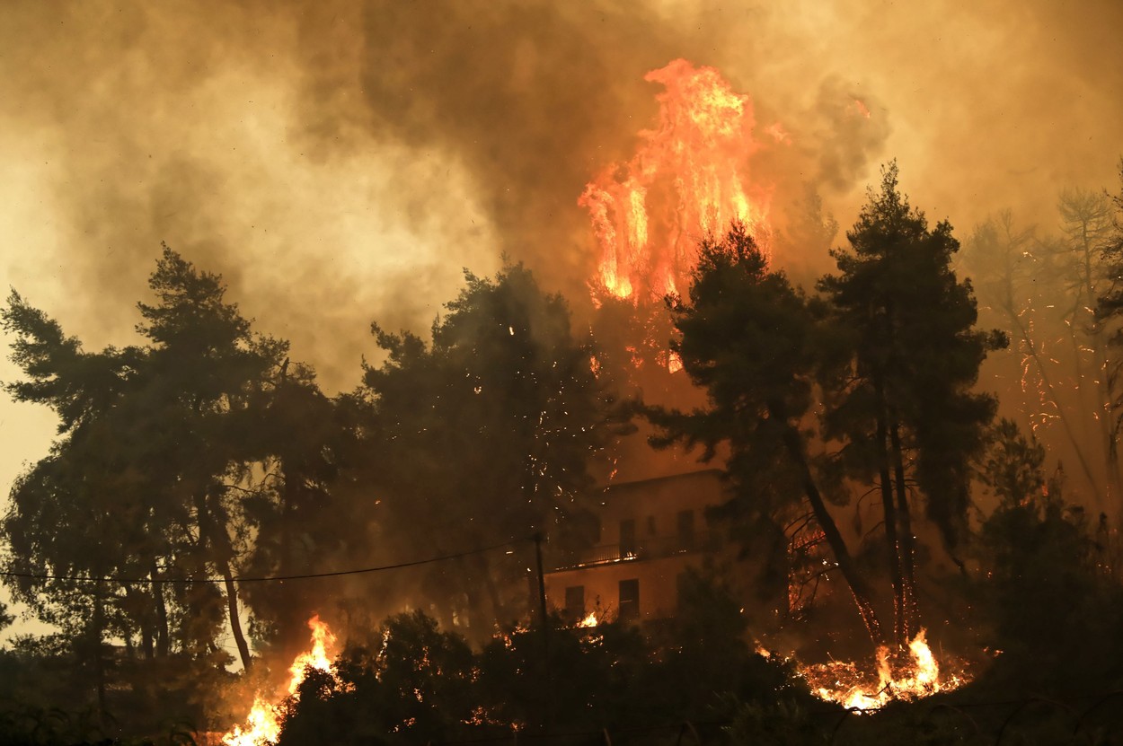 Forest fires in Greece - 08 Aug 2021