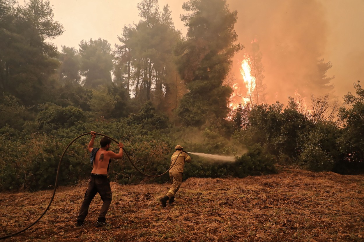 Forest fires in Greece - 08 Aug 2021