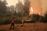 Forest fires in Greece - 08 Aug 2021