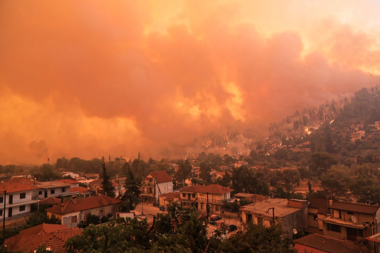Forest fires in Greece - 08 Aug 2021