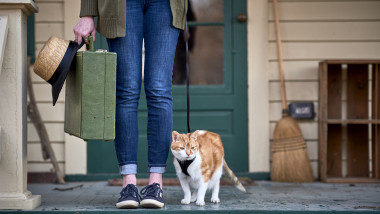 femeie cu o valiza mica si o palarie de paie in mana in fata unei usi cu o pisica alaturi