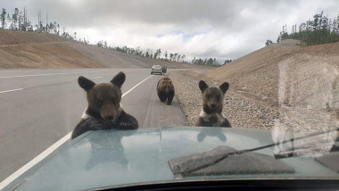 Wildfires Apocalypse Russia