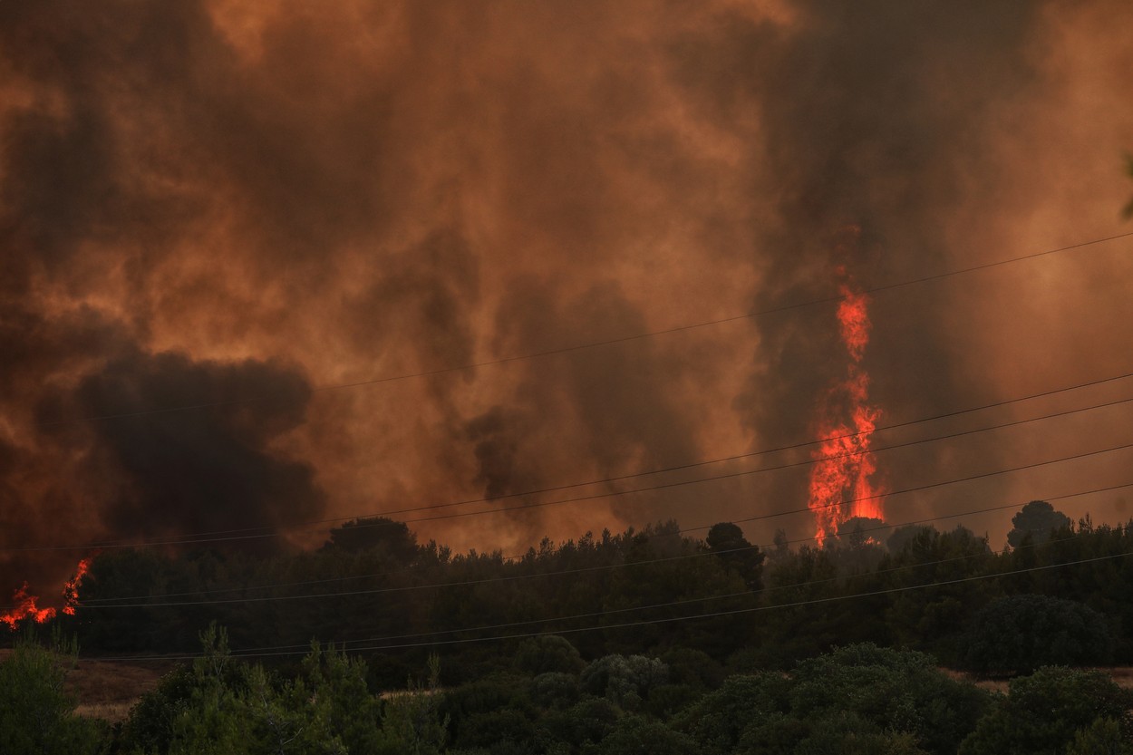 Wildfire In Greece