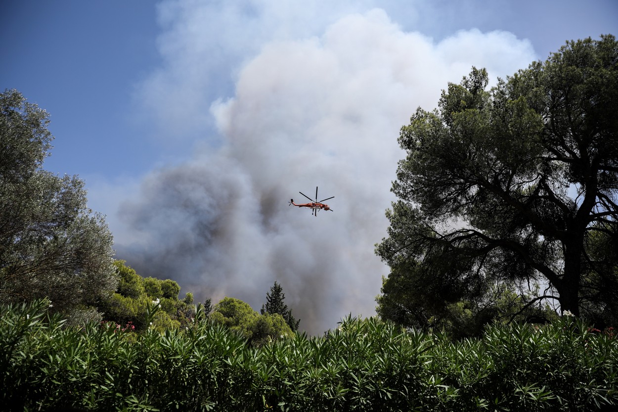 Wildfire In Greece