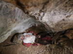 sarb3Un bărbat sârb, care locuiește de 20 de ani într-o peșteră, s-a vaccinat anti-Covid.