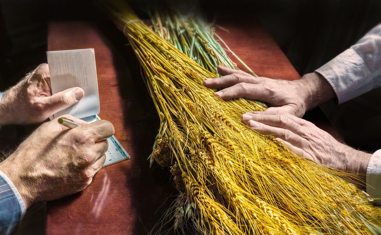 Grâul s-a scumpit din nou și cresc temerile privind prețul alimentelor aflat deja la cel mai ridicat nivel din 2011 (Bloomberg)