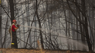 pompieri cu pompă de apă printre copaci arși în Grecia, în timpul incendiilor din iulie și august 2021.