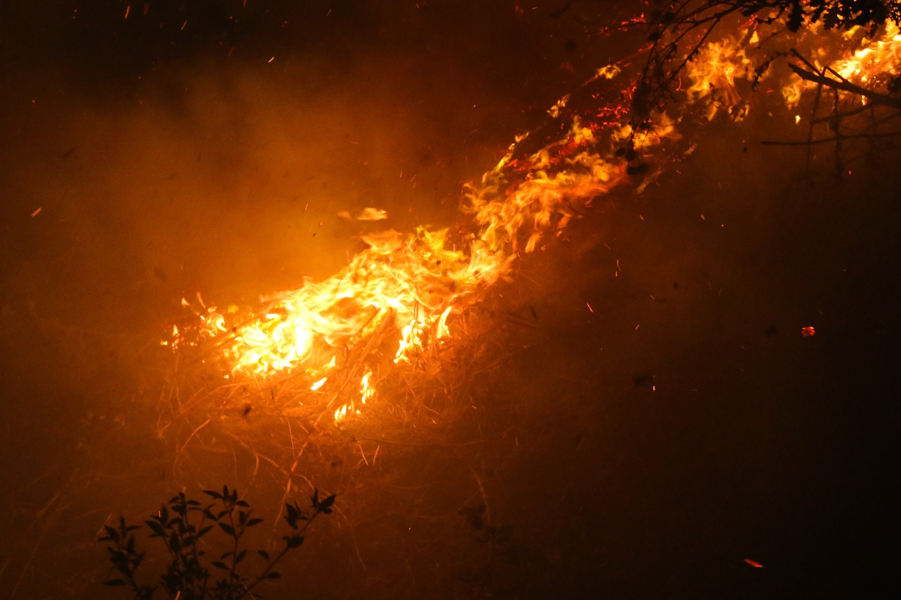 Monster Forest Fire In The Var