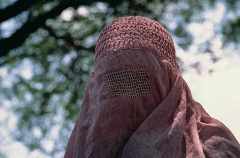 Portrait of a veiled Muslim woman in northern Pakistan, Asia