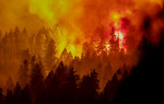 incendiu-california-twitter-karl-mondon3