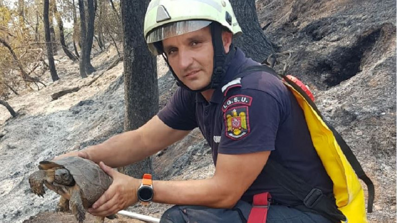 Pompier român cu o broasca testoasa in maini în incendiile din Grecia.