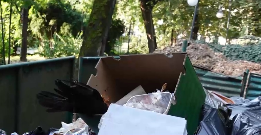 cismigiu-mizerie-digi24.jpg3