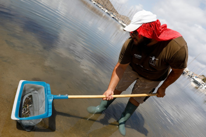 Dead fish appear in several areas of Mar Menor