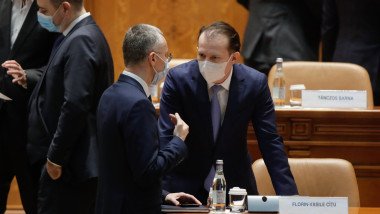 stelian ion si florin citu in parlament