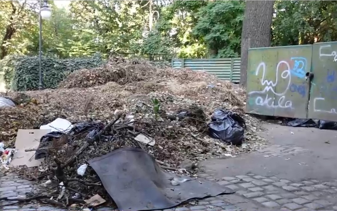 VIDEO. Cum arată Cișmigiul la două săptămâni de când primarul Capitalei a pornit acțiunea de curățare