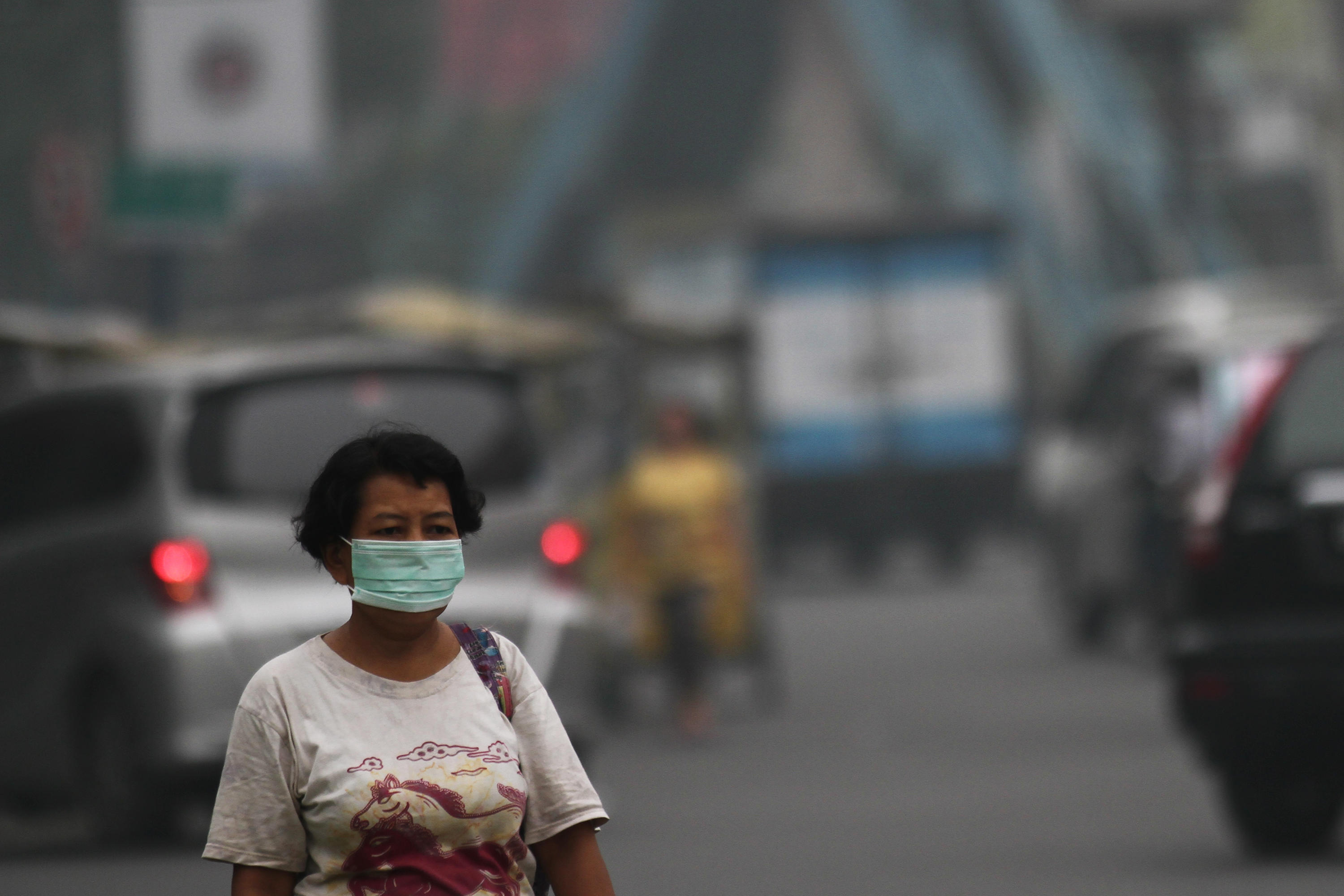 Președintele indonezian a fost declarat „vinovat de neglijență” în ceea ce privește poluarea din capitala țării, Jakarta