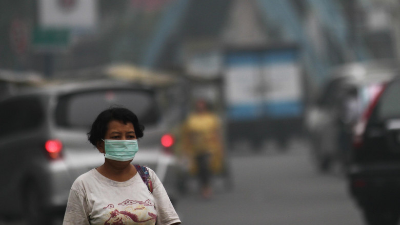 O femeie indoneziană poartă o mască de protecție pentru față ca să se protejeze împotriva poluării aerului cu smog din Indonezia.