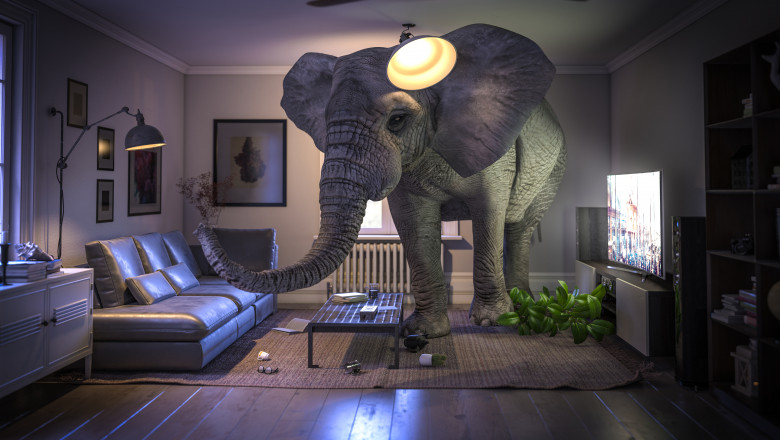 grafica cu un elefant intr-o casa