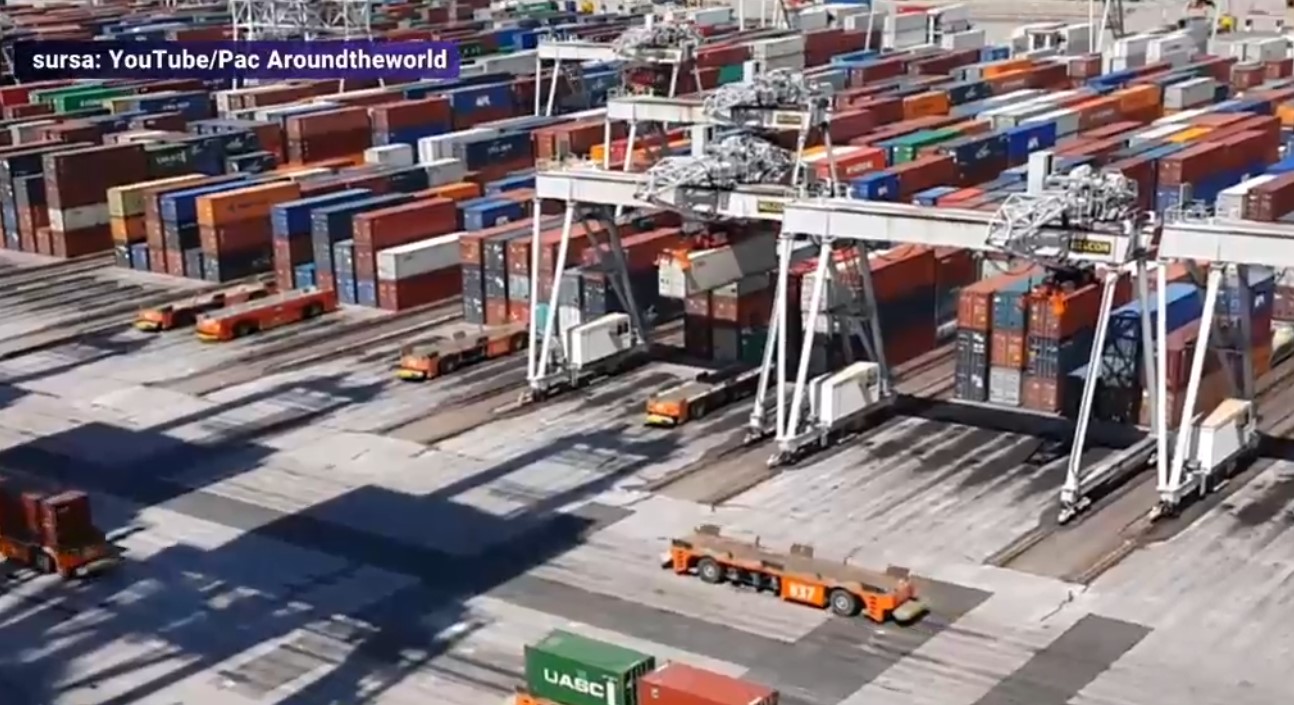 VIDEO Captură uriașă de droguri în Rotterdam. Peste patru tone de cocaină au fost descoperite într-un container cu lemne