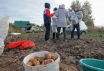 Russia Parliamentary Elections