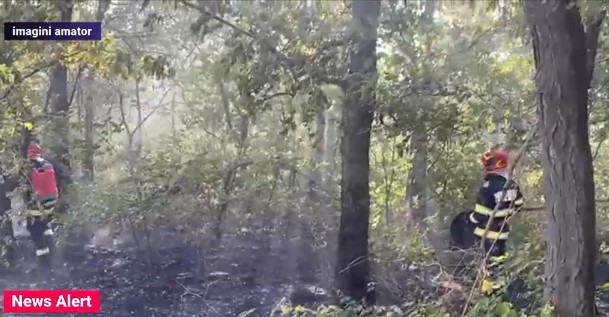 VIDEO. Incendiu în Parcul Nicolae Romanescu din Craiova
