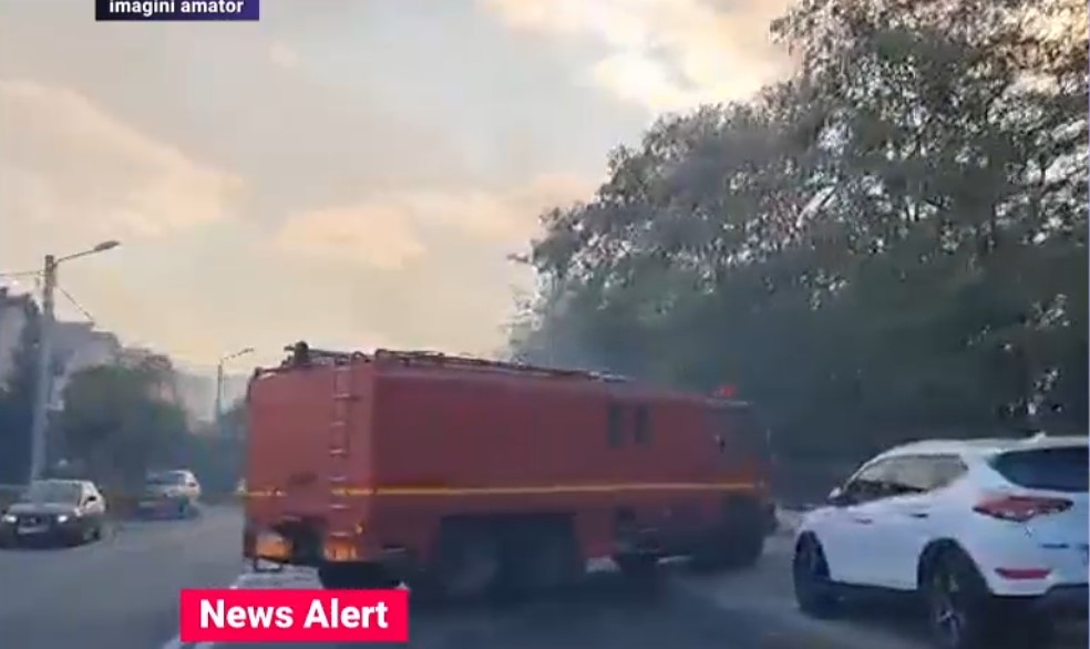 Incendiu puternic în Parcul Nicolae Romanescu din Craiova