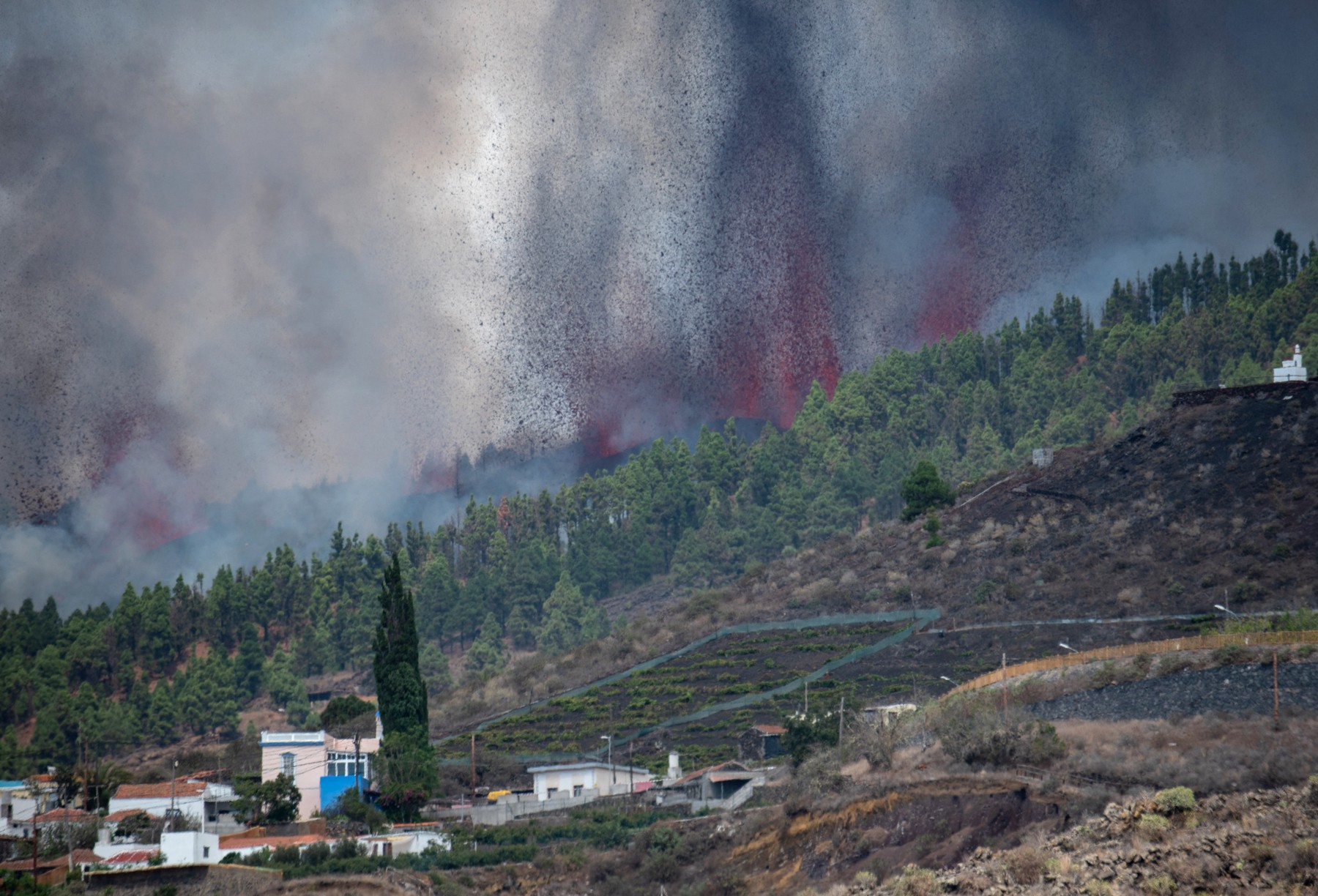 Vulcanul din La Palma a erupt după 50 de ani. Foto: Profimedia