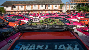 Taxiuri abandonate transformate în grădină de legume.