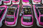 Unused Taxis Turned Community Garden