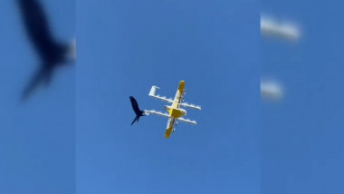 Drone de livrări, atacate de corbi