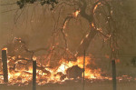 incendiu California