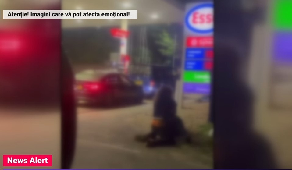 VIDEO. Bătaie pe combustibil într-o benzinărie din Marea Britanie