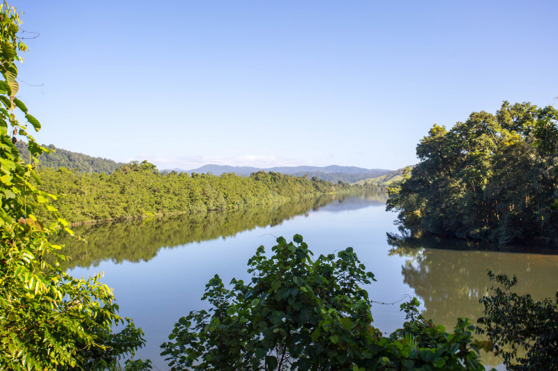 Daintree Australia