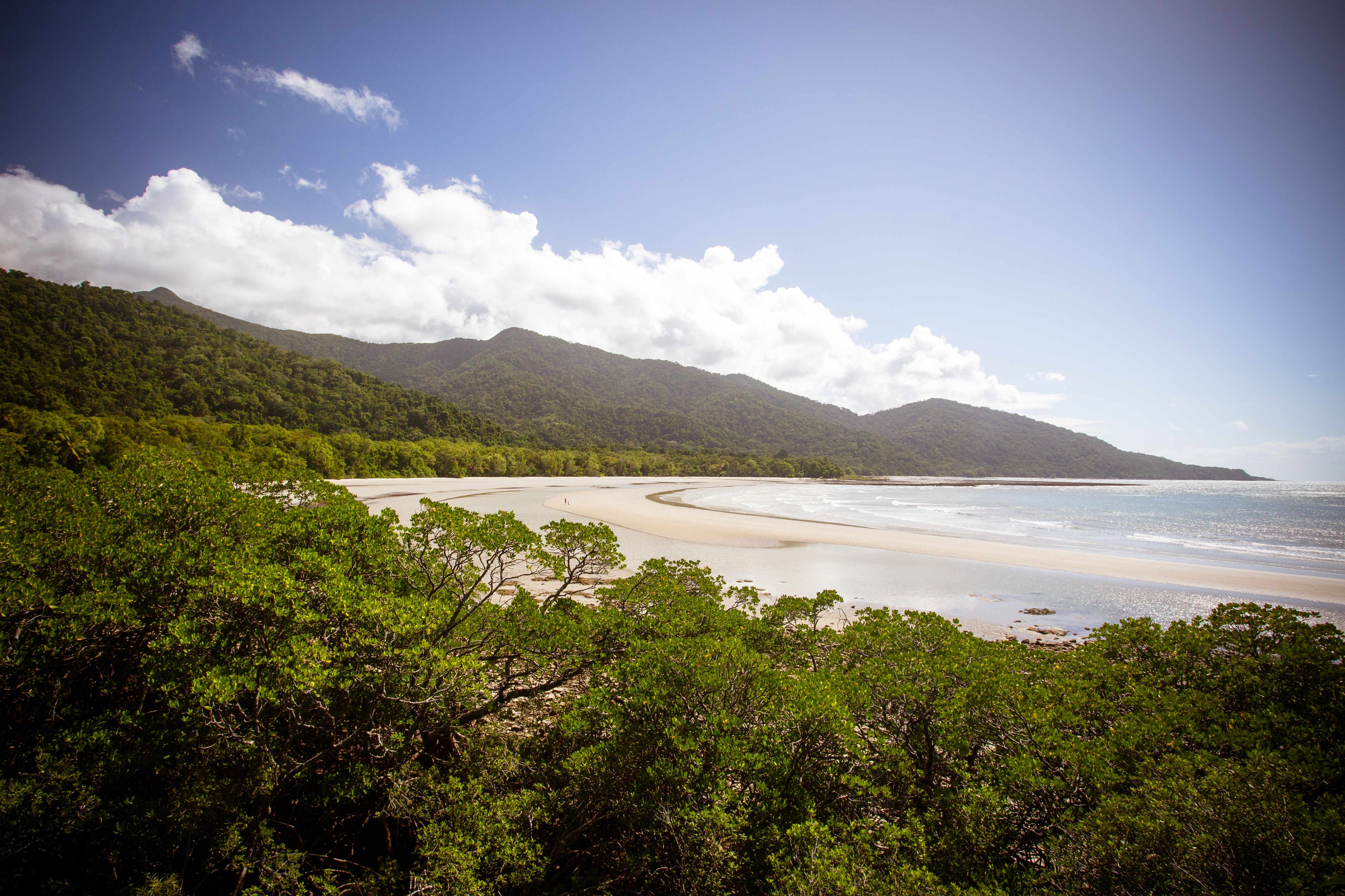 O pădure tropicală veche de 180 de milioane de ani a fost returnată poporului aborigen de către Australia