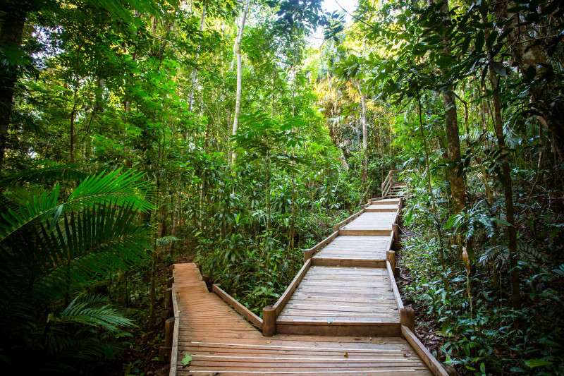 Daintree Australia