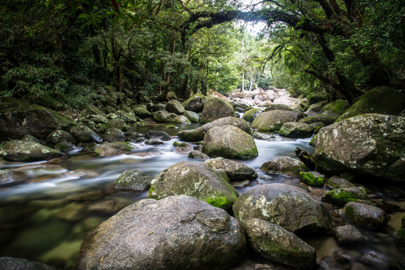 Mossman Gorge Australia