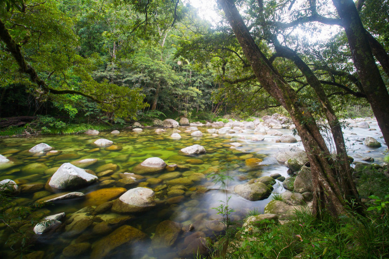 Mossman Gorge Australia