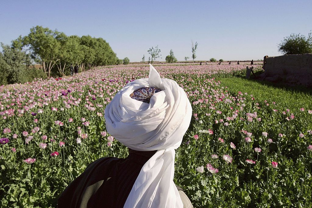 Prețul opiului din Afganistan s-a triplat după ce talibanii au preluat puterea. Ce condiție pun aceștia pentru interzicerea drogului