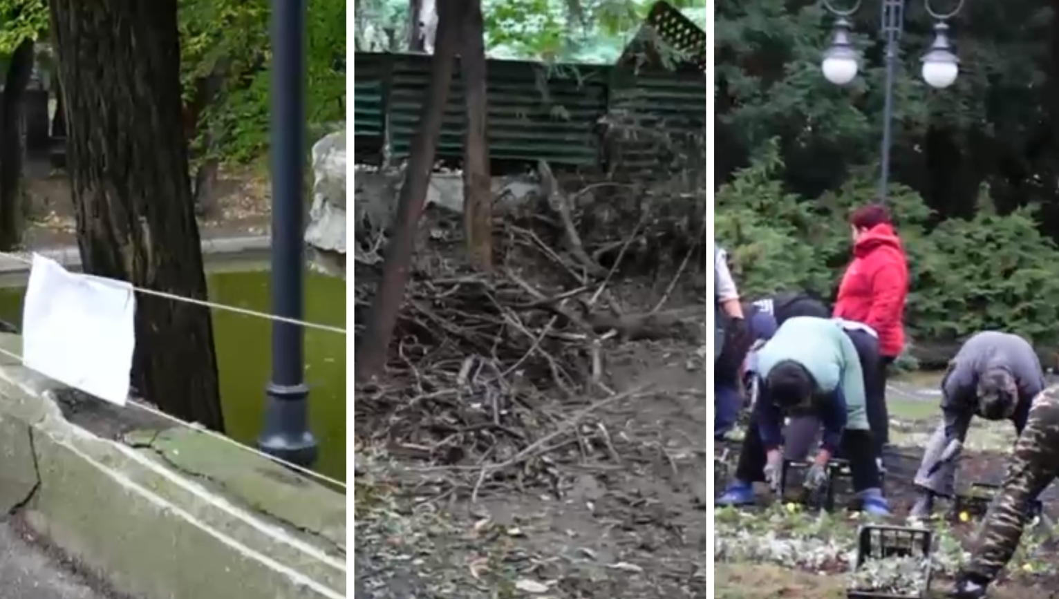 VIDEO. Cișmigiul este distrus, miroase și arată deplorabil, dar autoritățile plantează mii de panseluțe