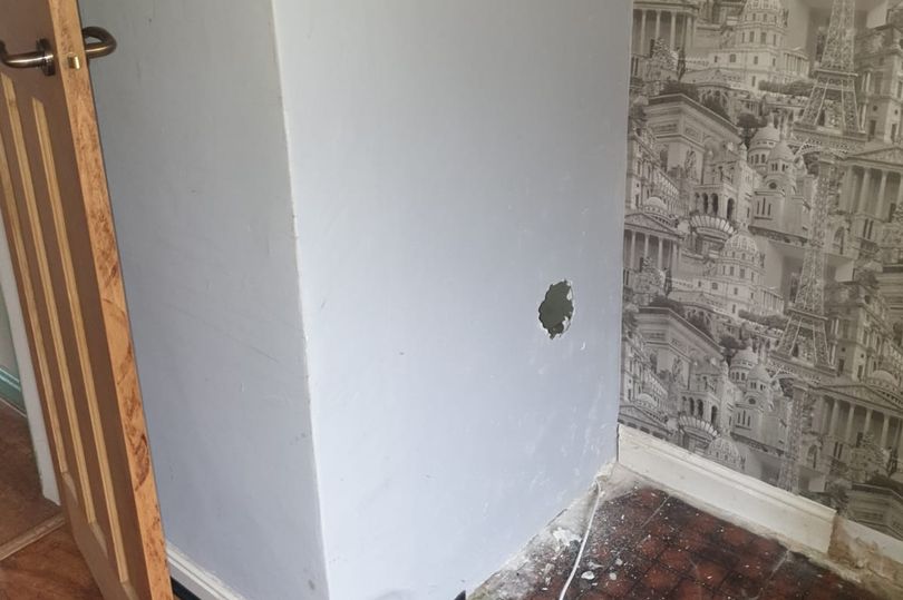Descoperire făcută de un bărbat în peretele casei recent cumpărate. A fost sfătuit să o vândă imediat