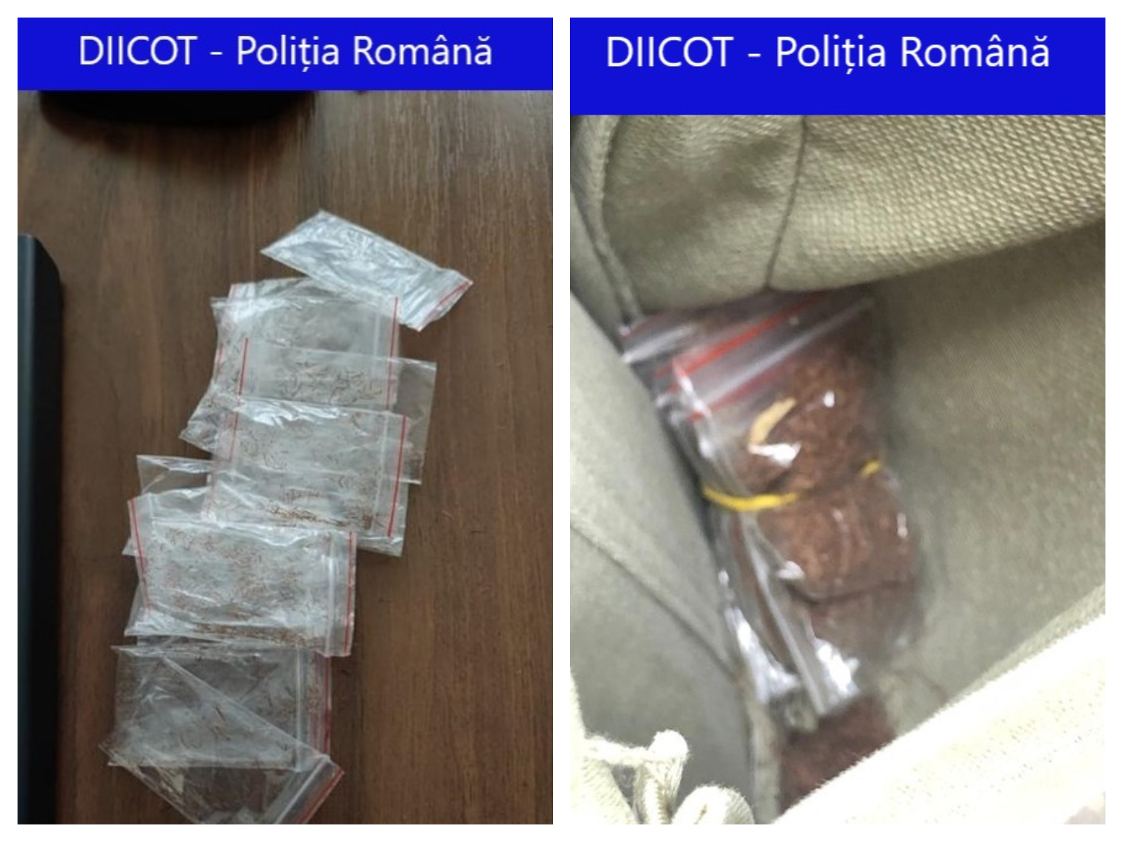Traficanți de droguri din Brașov arestați după ce un tânăr care a cumpărat substanțe de la ei a murit la Terapie Intensivă
