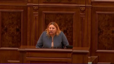 Diana Șoșoacă la tribuna Parlamentului