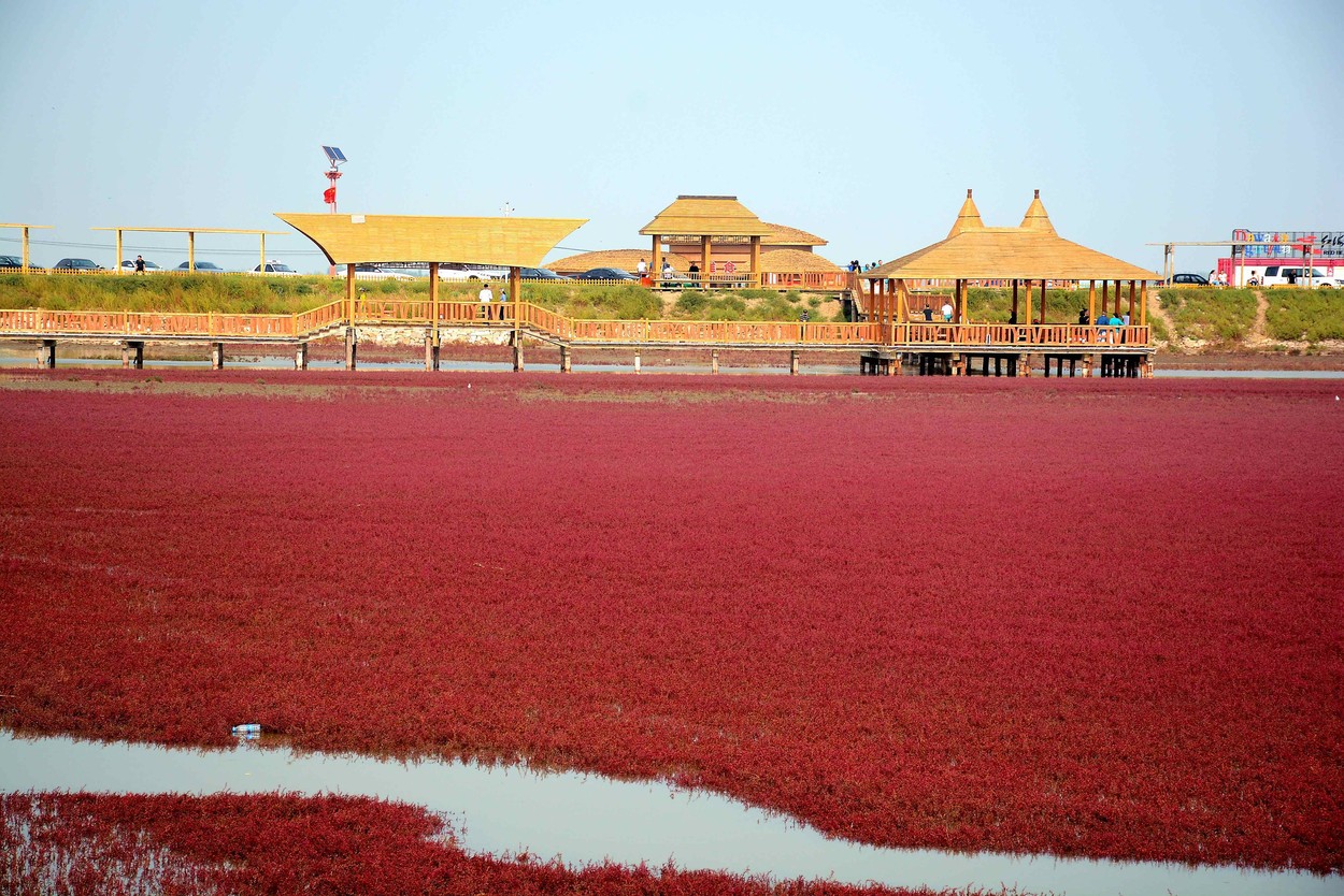 plaja rosie din china