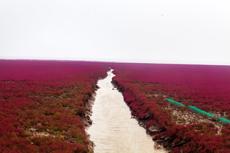 plaja-rosie-china (17)