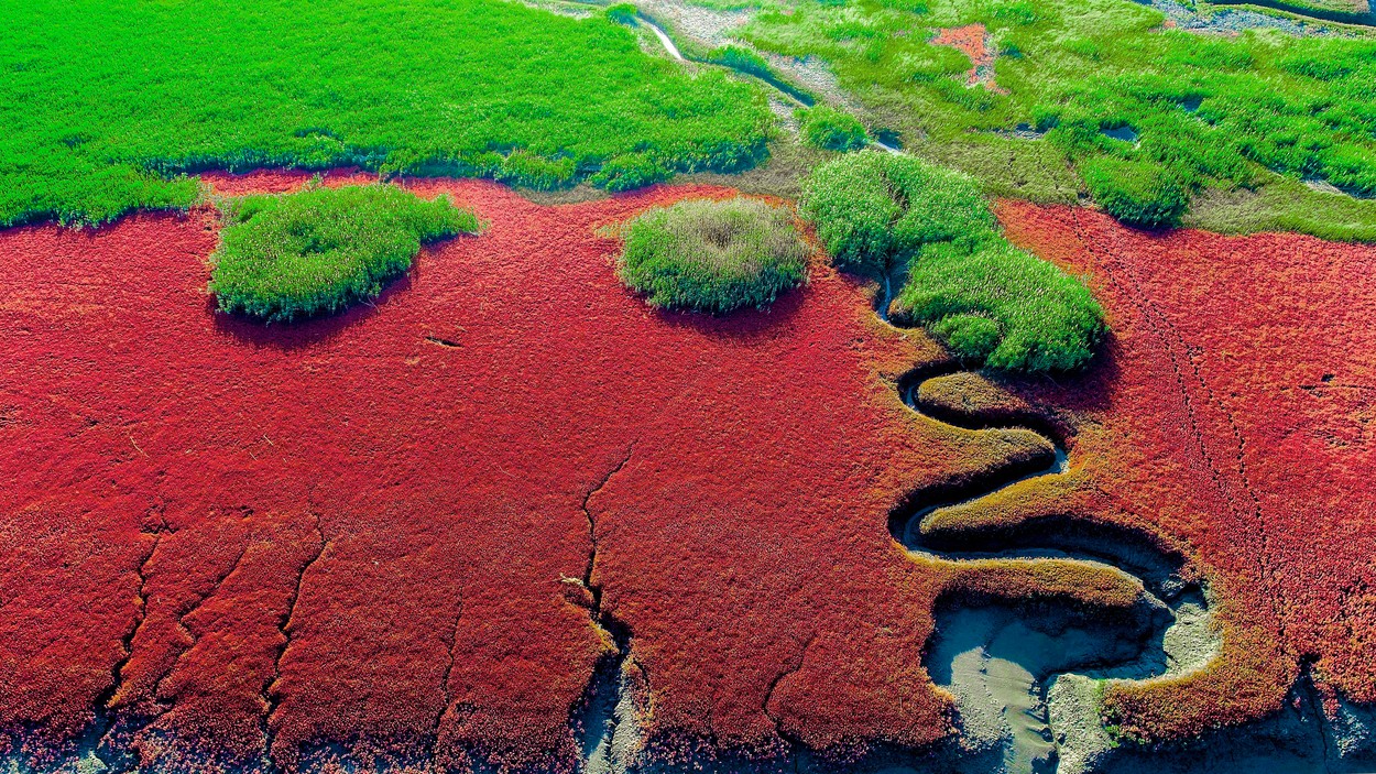 CHINA-ENVIRONMENT-ECOLOGICAL CIVILIZATION CONSTRUCTION (CN)