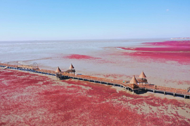 plaja rosie din china