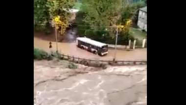 autobuz luat de ape in italia